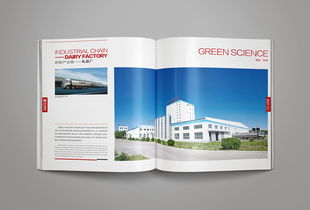 凝練品牌精髓，彰顯卓越風(fēng)范——洛娃集團(tuán)畫(huà)冊(cè)整合設(shè)計(jì)與企業(yè)形象策劃