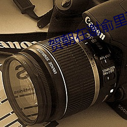 警惕網絡信息安全風險，共建清朗網絡空間