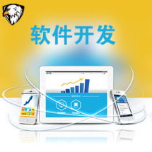 軟件外包服務(wù)報(bào)價(jià)指南 從高到低九品價(jià)格體系詳解