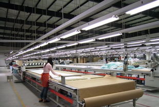 優(yōu)質(zhì)工廠成稀缺資源，服裝加工與軟件外包行業(yè)面臨訂單執(zhí)行困局