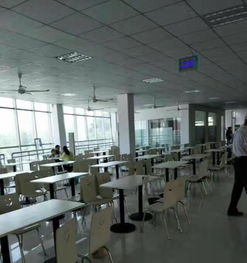 工廠食堂與軟件外包服務(wù) 泉州600人工廠外包實(shí)踐解析