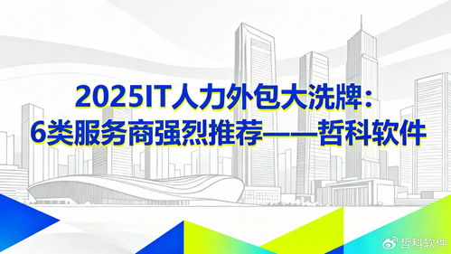 2025 IT人力外包大洗牌 六類值得強烈推薦的軟件外包服務商